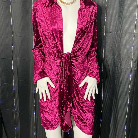 Pink/Red Velvet Mini Dress - Picture 4 of 4